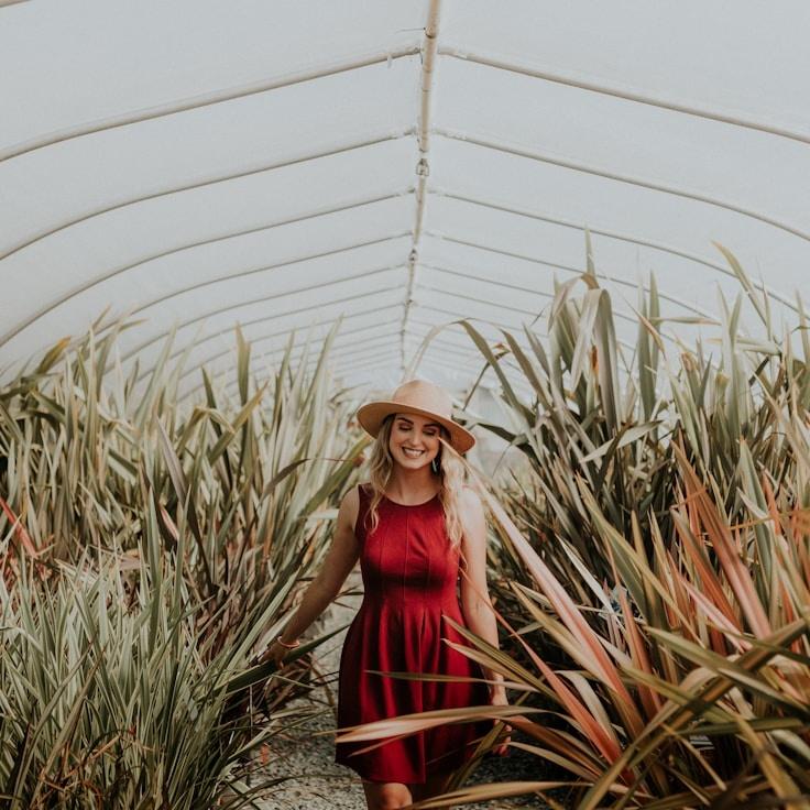 School environment for families in Springfield, United States